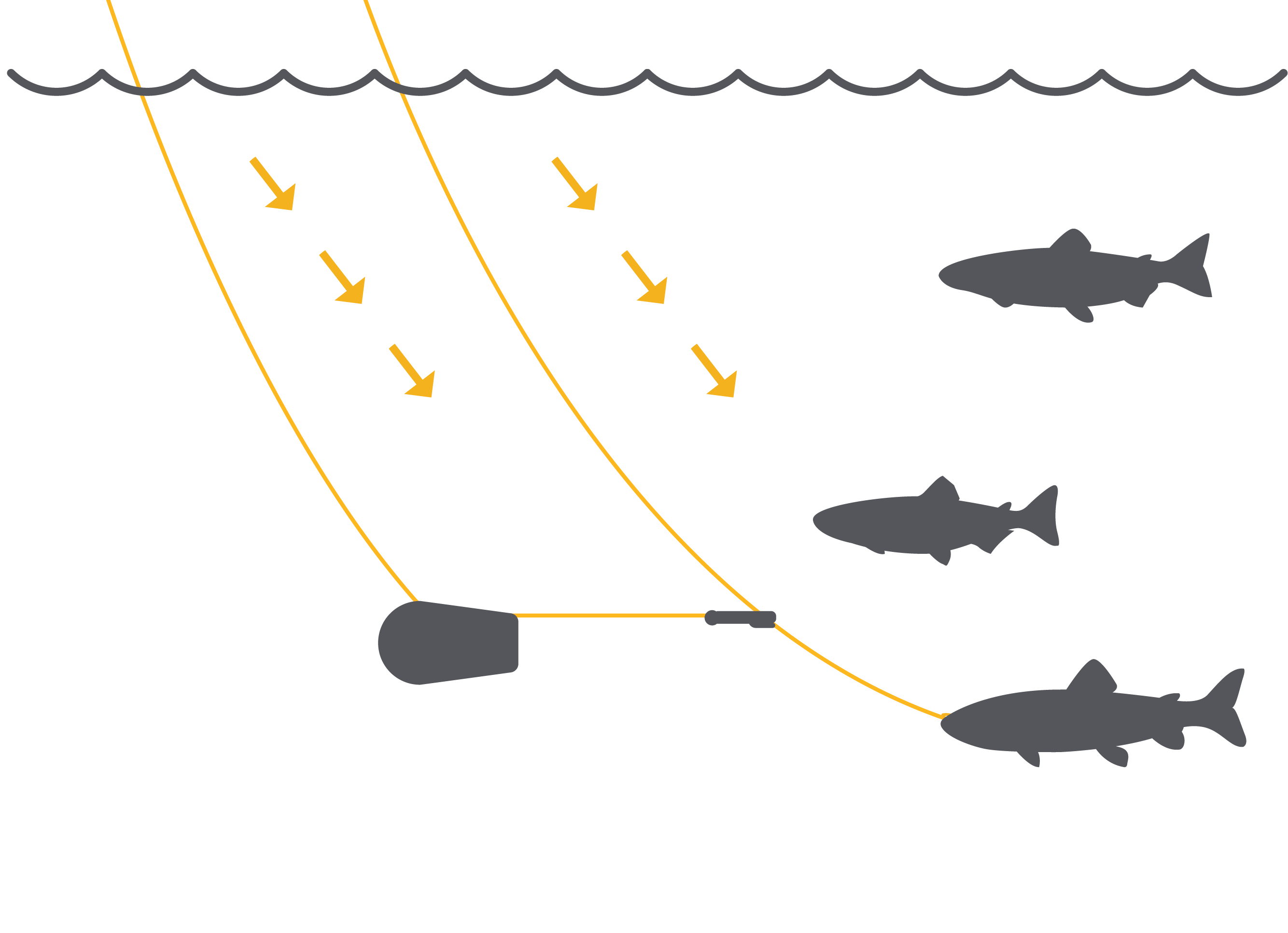 Learn How Downriggers WorkBasics Cannon